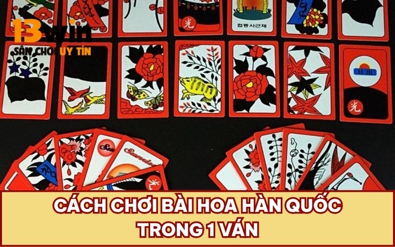 Cách chơi bài hoa Hàn Quốc trong 1 ván