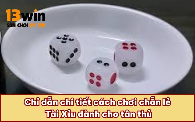 Chỉ dẫn chi tiết cách chơi chẵn lẻ Tài Xỉu dành cho tân thủ