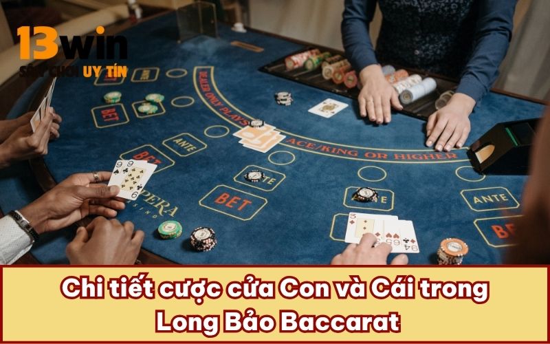 Chi tiết cược cửa Con và Cái trong Long Bảo Baccarat