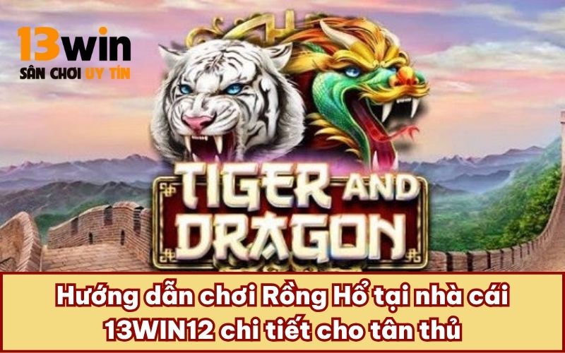 Hướng dẫn chơi Rồng Hổ tại nhà cái 13WIN12 chi tiết cho tân thủ