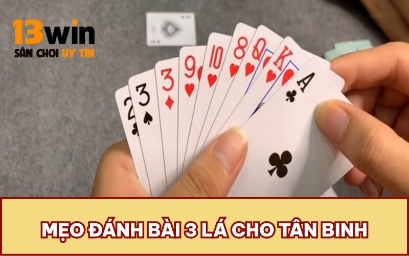 Mẹo đánh bài 3 lá cho tân binh