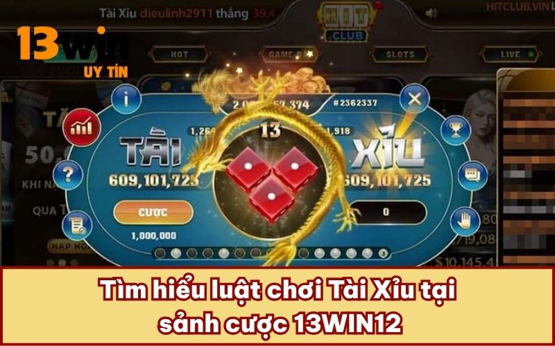 Tìm hiểu luật chơi Tài Xỉu tại sảnh cược 13WIN12